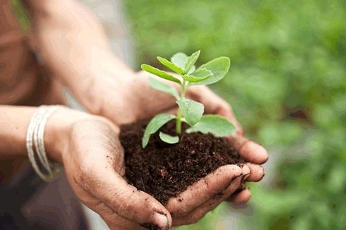 2017年,有机肥料及微生物肥料制造行业销售收入为822.98