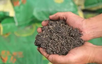 有机肥资讯 | 有机肥料、微生物菌剂和生物有机肥有何不同?详细解析